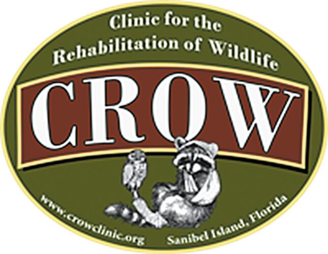 CROW still standing in aftermath of Hurricane Ian